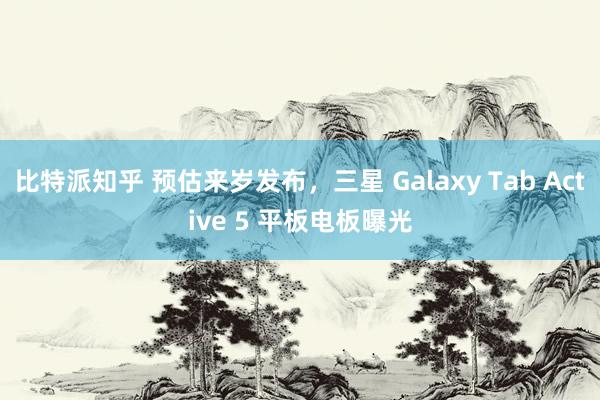 比特派知乎 预估来岁发布，三星 Galaxy Tab Active 5 平板电板曝光