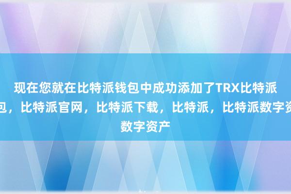 现在您就在比特派钱包中成功添加了TRX比特派钱包，比特派官网，比特派下载，比特派，比特派数字资产