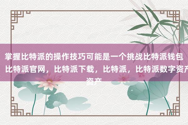 掌握比特派的操作技巧可能是一个挑战比特派钱包，比特派官网，比特派下载，比特派，比特派数字资产