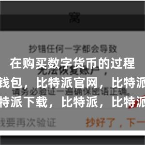 在购买数字货币的过程中比特派钱包，比特派官网，比特派下载，比特派，比特派数字资产