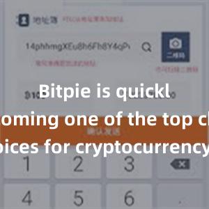 Bitpie is quickly becoming one of the top choices for cryptocurrency enthusiasts worldwide.比特派钱包，比特派官网，比特派下载，比特派，比特派数字资产