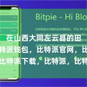 在山西大同左云县的田间地头比特派钱包，比特派官网，比特派下载，比特派，比特派数字资产