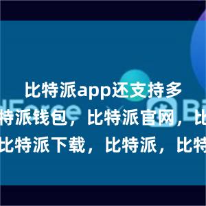 比特派app还支持多种语言比特派钱包，比特派官网，比特派下载，比特派，比特派数字资产