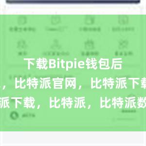 下载Bitpie钱包后比特派钱包，比特派官网，比特派下载，比特派，比特派数字资产