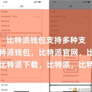 比特派钱包支持多种支付方式比特派钱包，比特派官网，比特派下载，比特派，比特派数字资产