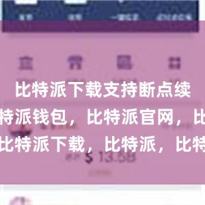 比特派下载支持断点续传功能比特派钱包，比特派官网，比特派下载，比特派，比特派数字资产